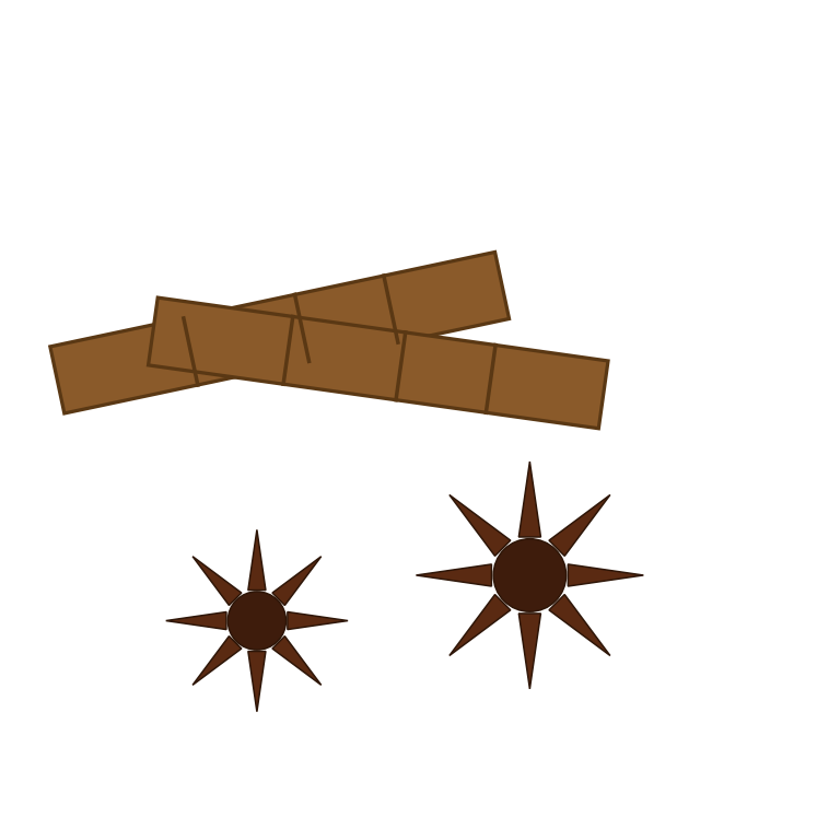 Cinnamon and star anise
